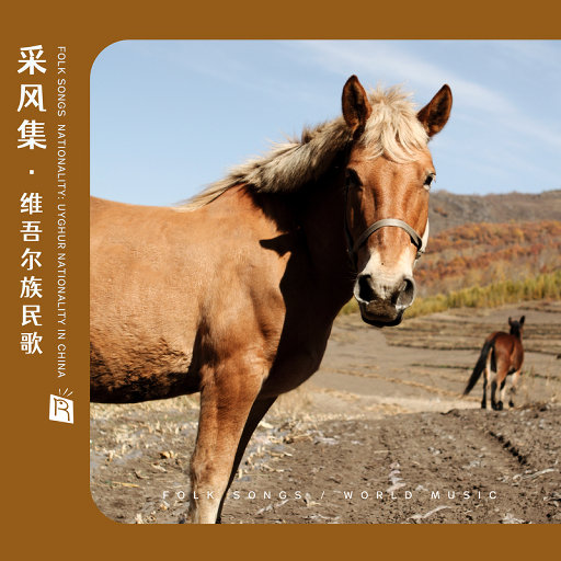 亚洲中文老太太70
